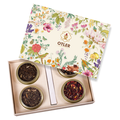 4-in-1 | Big Clear Tins